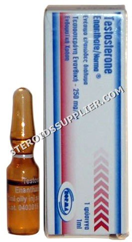 Testosterone Enanthate 250mg/1ml Norma