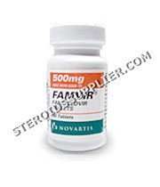 Famvir (Famciclovir)